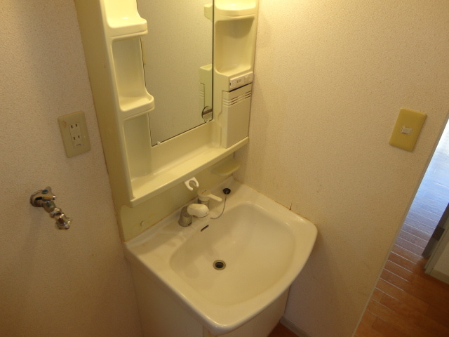 アルカディアみむろAの洗面所