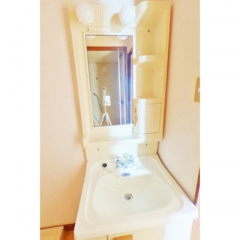 ファミールうすずみの洗面所