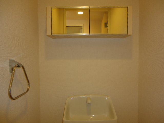 ルーラル高塚の収納|鏡付きＷＣ収納