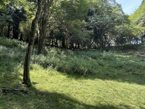 【外観】 | 東急天城高原別荘地　売地