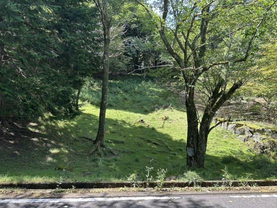 【外観】 | 東急天城高原別荘地　売地
