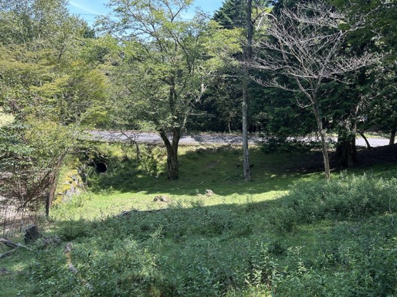 【周辺】 | 東急天城高原別荘地　売地