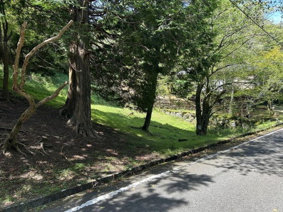【前面道路含む現地写真】 | 東急天城高原別荘地　売地