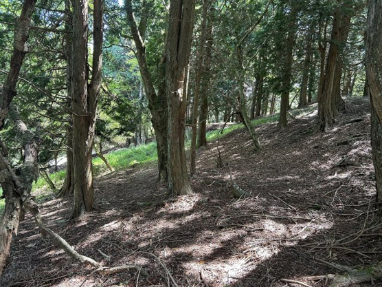 【外観】 | 東急天城高原別荘地　売地