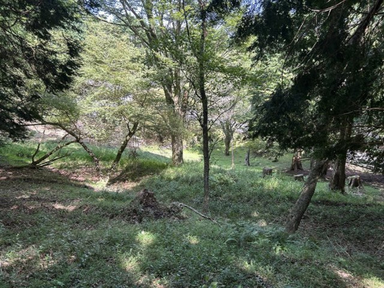 【外観】 | 東急天城高原別荘地　売地