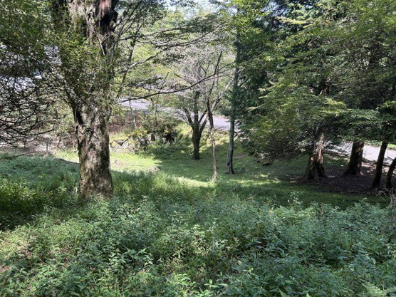 【外観】 | 東急天城高原別荘地　売地