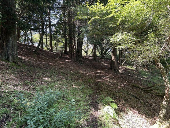 【外観】 | 東急天城高原別荘地　売地