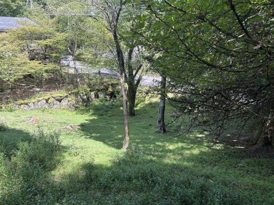 【外観】 | 東急天城高原別荘地　売地