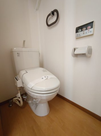 ディマンシュのトイレ