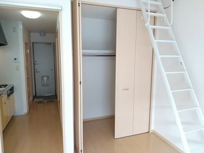 【収納】 | 春紫苑