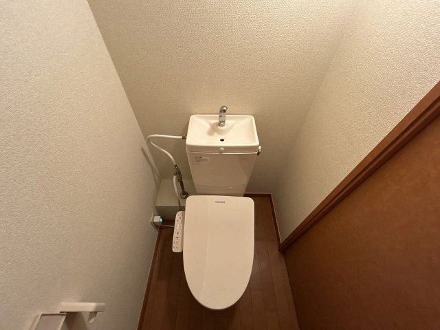 レオパレスグリーン青毛のその他