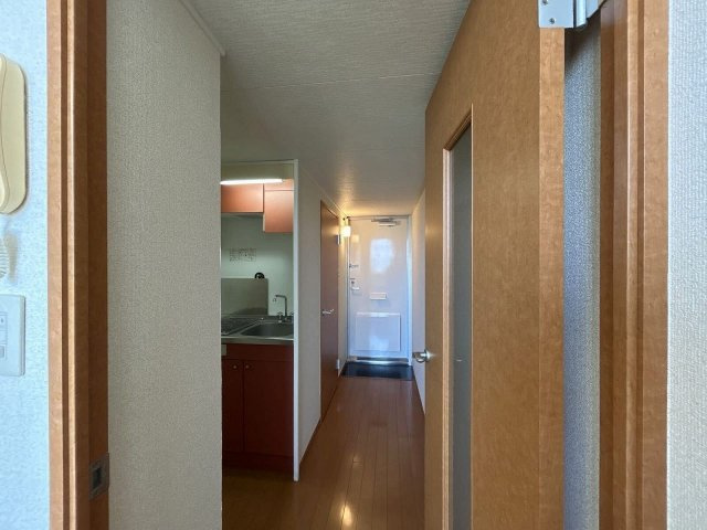 レオパレスグリーン青毛の玄関