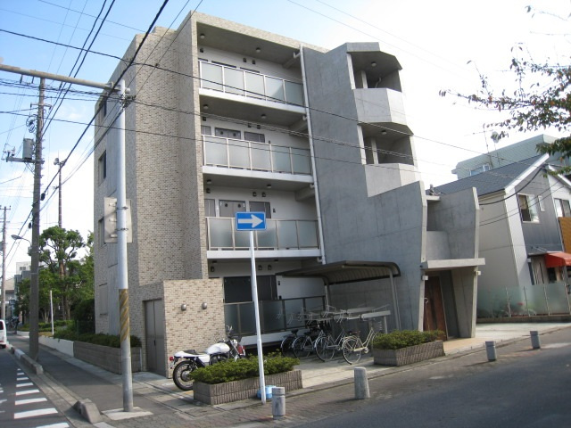 ラズベリーの外観