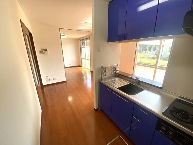 サンフェリスターズ　のその他