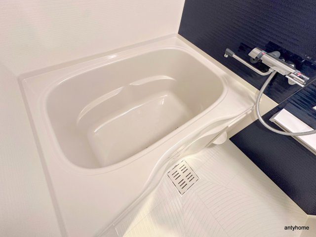 ソルテラス阿波座ウィズ　仲介手数料無料の浴室