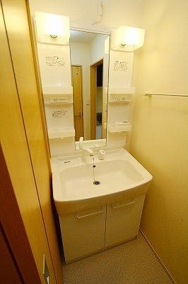 ネオルーラルハウス碇　Ｂの洗面所