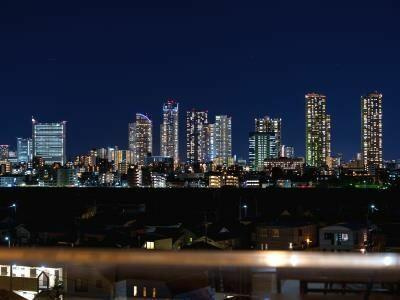 大田区田園調布５丁目の中古一戸建の展望|眺望（居室から） （４） 