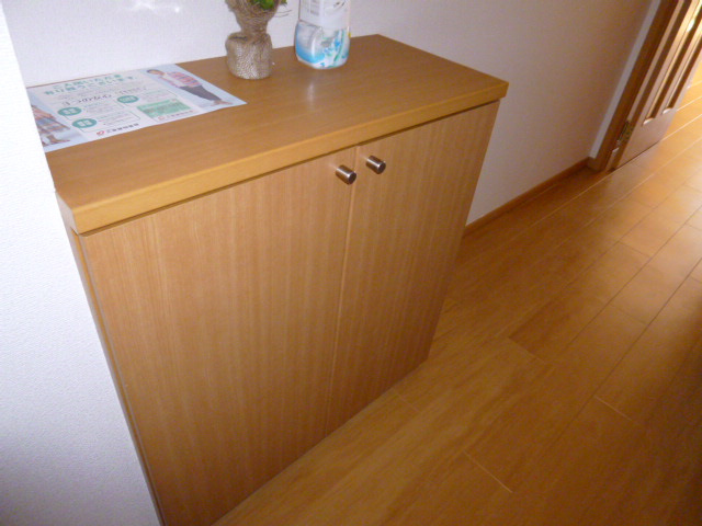 パーク・アヴェニューＢの玄関|シューズボックス