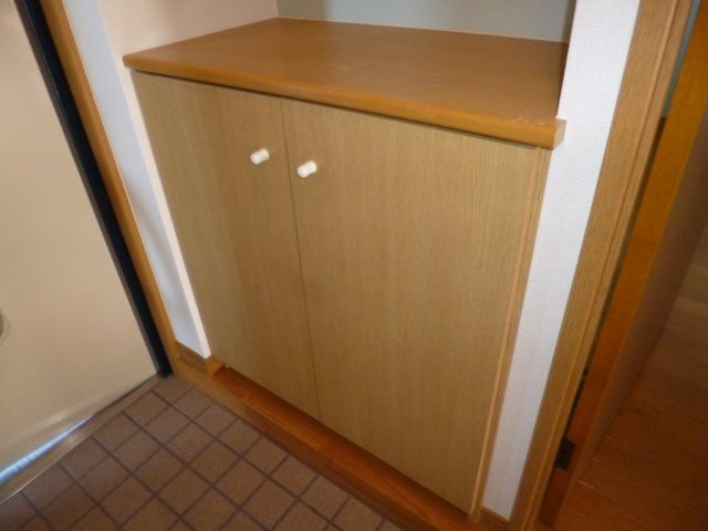 アップフィールドの内装|シューズボックス