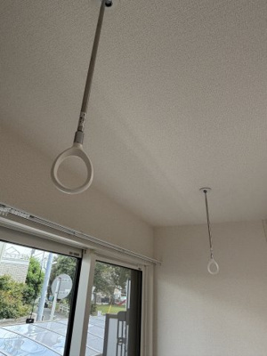  | ディーシンシア