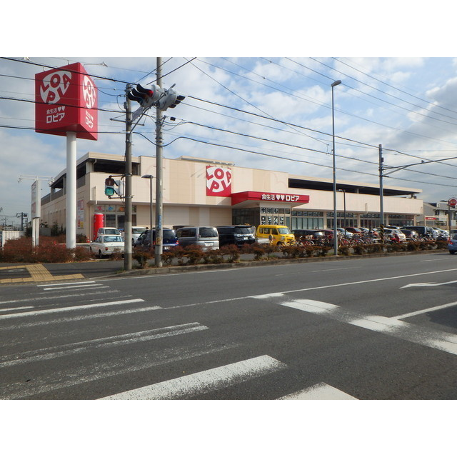 グリーンプラザＡ棟のその他|ロピア石川店