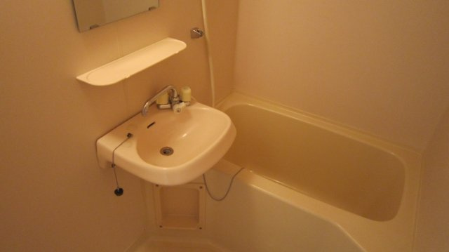 グリーンプラザＡ棟の洗面所