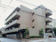 MSYの画像