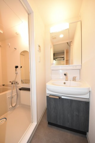 プレサンス四天王寺前夕陽ヶ丘アクティの洗面所