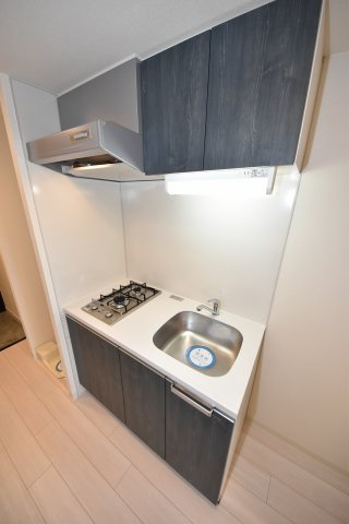 プレサンス四天王寺前夕陽ヶ丘アクティのキッチン