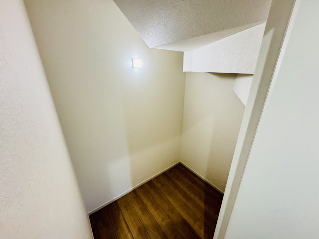 柏市亀甲台町２丁目新築戸建の内装|1Fウォークインクローゼット