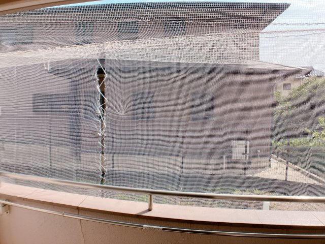 高根台ビレッジの展望