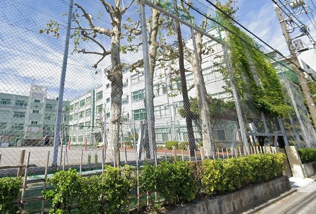 江戸川区中央２丁目の中古一戸建の周辺|江戸川区立松江第三中…まで120m 