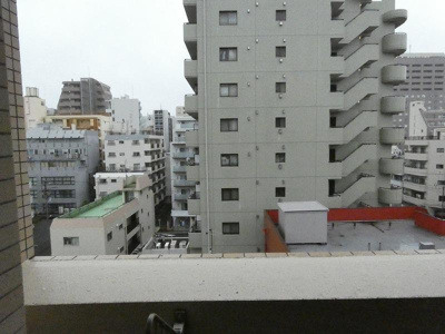 【展望】 | シンシア大森