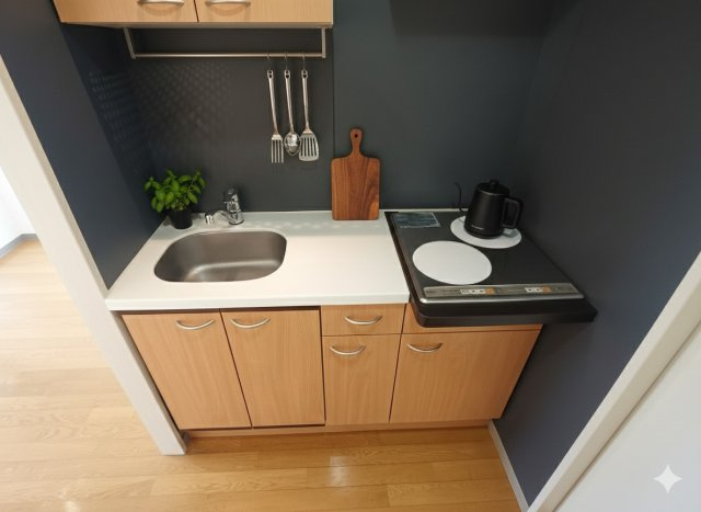 めんしん池之端のキッチン|モデルルーム参考写真ため家具類は付きません。IHコンロでお手入れ簡単♪