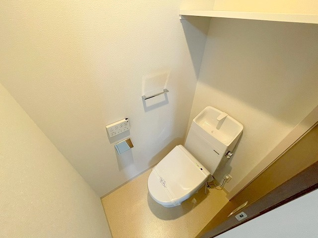 F asecia castorのトイレ