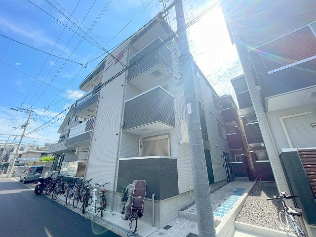 F asecia castorの外観