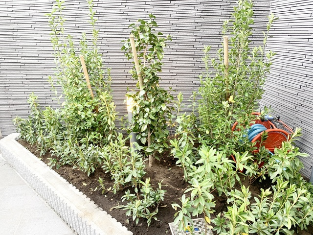 Ｂｏｌｅｒｏ十条のその他|綺麗な植栽！