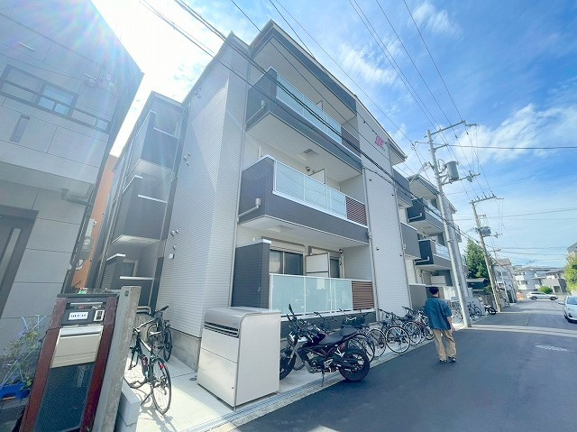 F asecia castorの外観