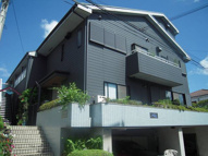 ブルーラビットの画像