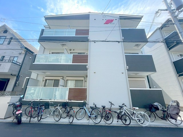 F asecia castorの外観