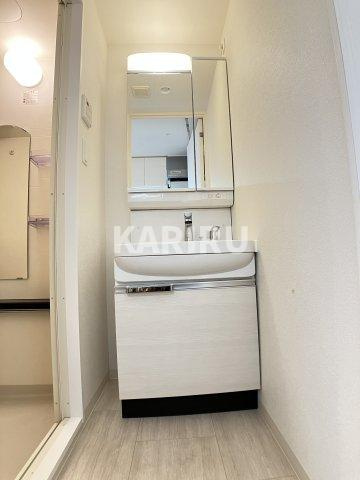 アドバンス大阪ブリアントの洗面所