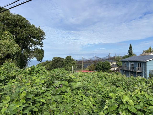 伊東市　富戸