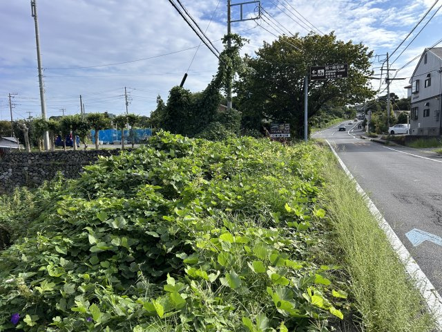 伊東市　富戸の外観|前面道路含む現地写真