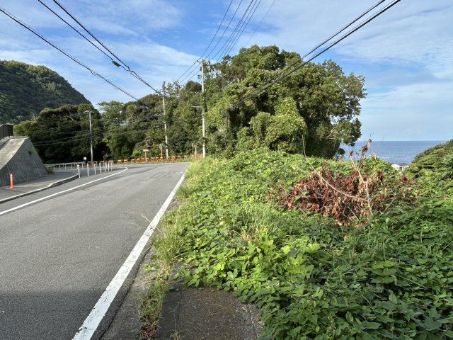 伊東市　富戸の外観|前面道路含む現地写真