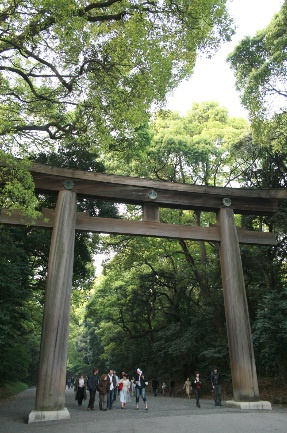 ボヌール代々木の周辺|明治神宮