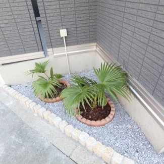 【展望】