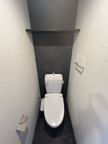 S-RESIDENCE大和田alineのトイレ