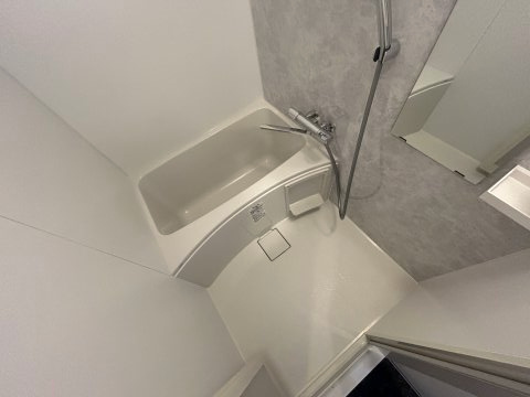 S-RESIDENCE大和田alineの浴室