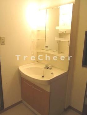 エスポワールの洗面所