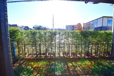 【展望】 | GreenForest聖蹟